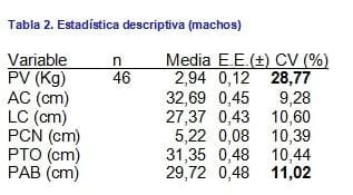 Relación entre el peso y las medidas corporales al nacimiento en hembras y machos ovinos de la raza Pelibuey - Image 2