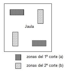 Calculo y manejo en Pastoreo Controlado III. Pastoreo por horas. Determinación de la disponibilidad y crecimiento de la pastura - Image 2
