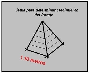 Calculo y manejo en Pastoreo Controlado III. Pastoreo por horas. Determinación de la disponibilidad y crecimiento de la pastura - Image 1