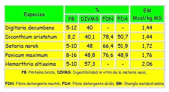 Los forrajes y la alimentación para intensificar la produccion de carne del norte argentino - Image 2