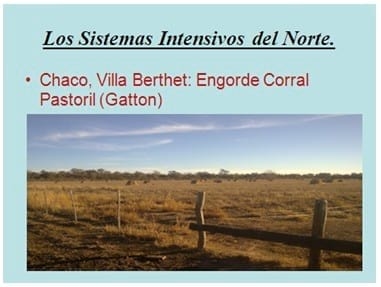 Los forrajes y la alimentación para intensificar la produccion de carne del norte argentino - Image 21