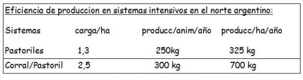 Los forrajes y la alimentación para intensificar la produccion de carne del norte argentino - Image 11