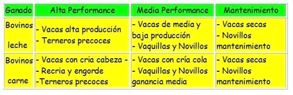 Los forrajes y la alimentación para intensificar la produccion de carne del norte argentino - Image 7