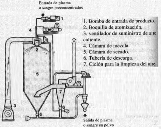 Harina de Sangre - Image 4