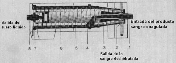Harina de Sangre - Image 3