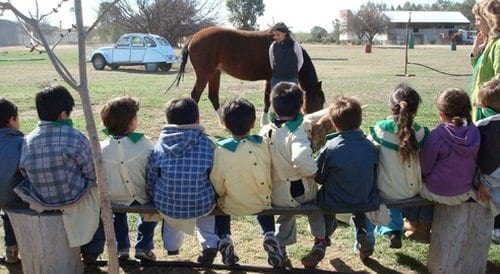 Aprendizaje, Sentimientos, Solidaridad, Respeto... - Image 4
