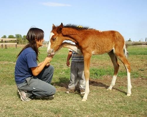 Aprendizaje, Sentimientos, Solidaridad, Respeto... - Image 1