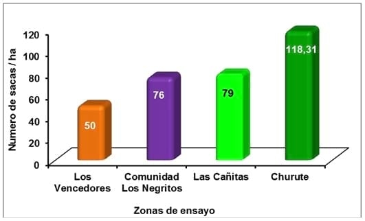 Cinta blanca en Arroz - Image 7