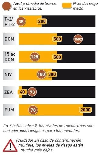 La eficiencia de T5X SD en el desempeño zootécnico de vacas lecheras enfrentando sospecha de problemas con micotoxinas - Image 2