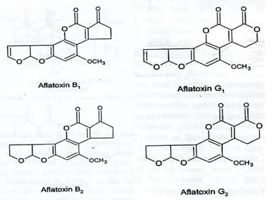 Efecto de micotoxinas sobre la reproducción de cerdas - Image 1