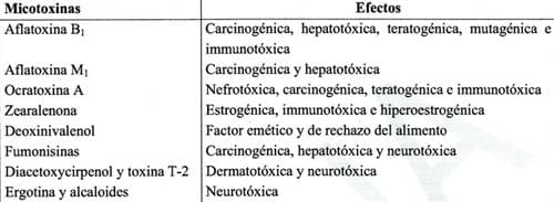 Efecto de micotoxinas sobre la reproducción de cerdas - Image 8