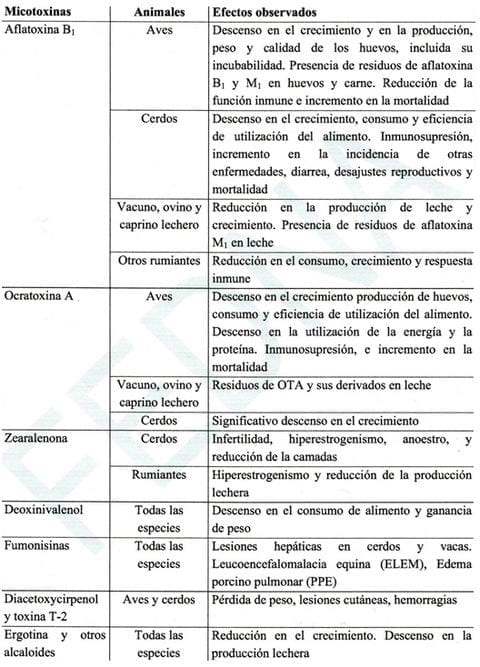 Efecto de micotoxinas sobre la reproducción de cerdas - Image 7