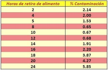 Pollo Moderno - Como obtener el màximo rendimiento? Desafìos, oportunidades y metas - Image 2