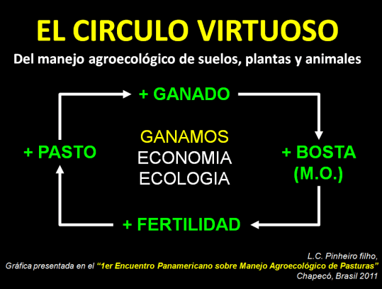 Para ser ganadero hay que ser agricultor - Image 3