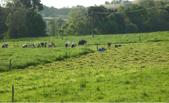 Para ser ganadero hay que ser agricultor - Image 1