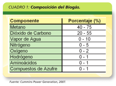 Biodigestores plásticos - Image 3