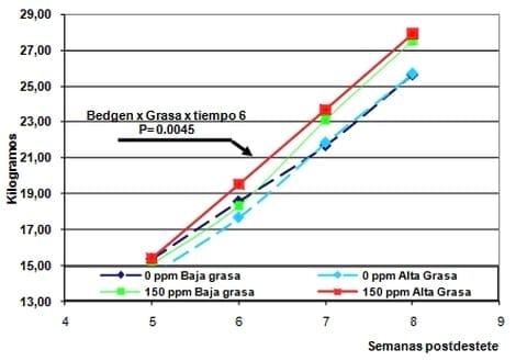 Una nueva estrategia: extracto de alcachofa en crecimiento y cebo - Image 1