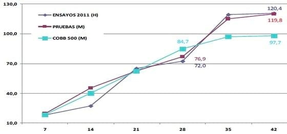 Evaluación del efecto del EOL 500 sobre los parámetros de eficiencia productiva en pollos de engorde - Image 8