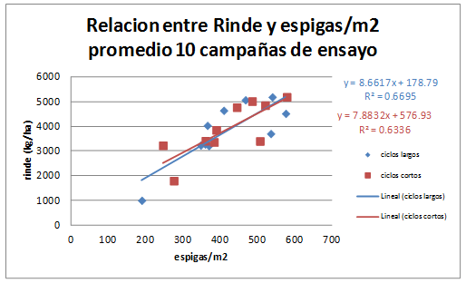 Respuesta de cultivares de trigo en secano Campaña 2011/2012 - Image 11