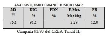 Nutrición Bovina: Ensilaje de Grano Húmedo - Image 6