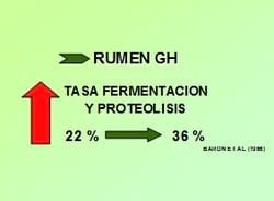 Nutrición Bovina: Ensilaje de Grano Húmedo - Image 9