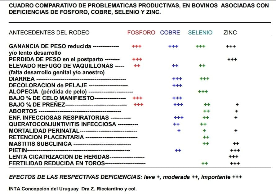 Los Minerales en la Reproducción Bovina - Image 6