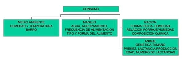 Los Minerales en la Reproducción Bovina - Image 3