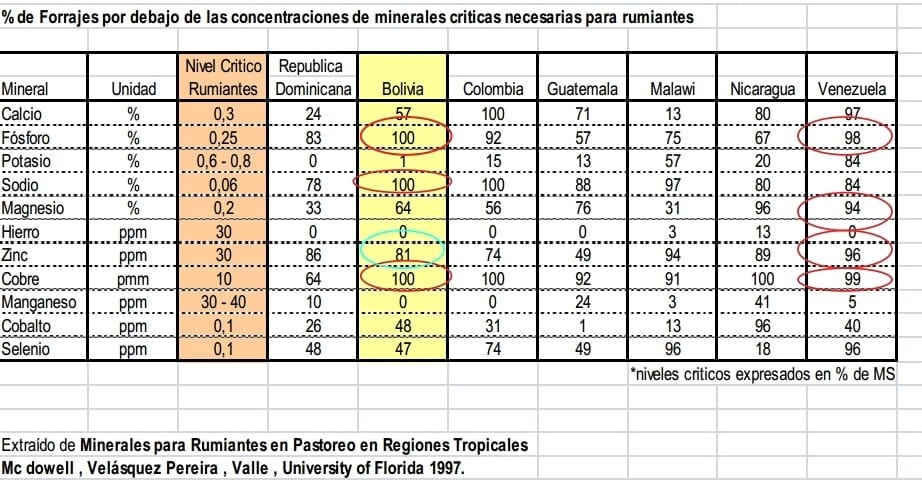 Los Minerales en la Reproducción Bovina - Image 4