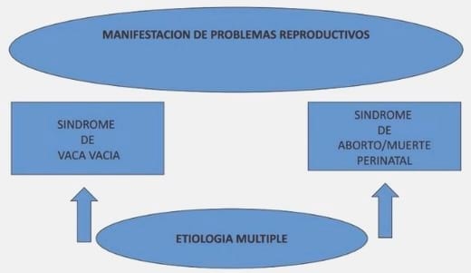 Los Minerales en la Reproducción Bovina - Image 2
