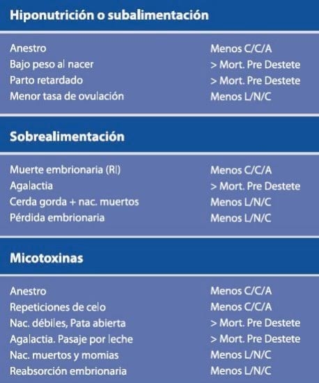 Influencia de la alimentación en la productividad de la cerda - Image 3