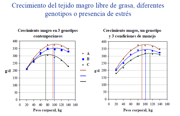 Requerimientos de aminoácidos y programas de alimentación en cerdos - Image 1