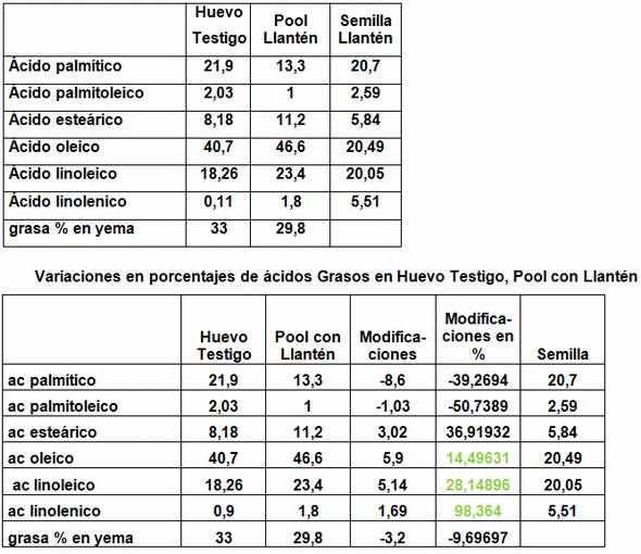 Llantén Funcional - Image 2