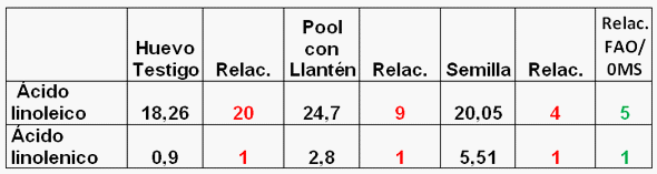 Llantén Funcional - Image 3