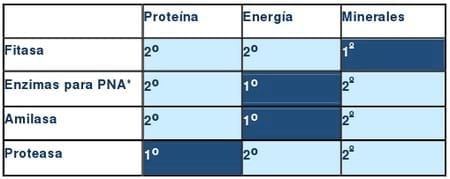 Desarrollo y definición del valor nutricional de las enzimas en nutrición animal - Image 1
