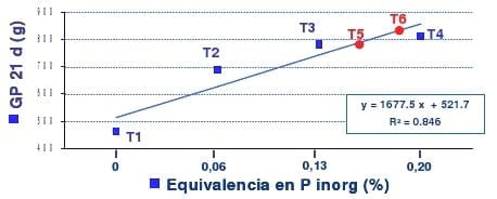Desarrollo y definición del valor nutricional de las enzimas en nutrición animal - Image 3