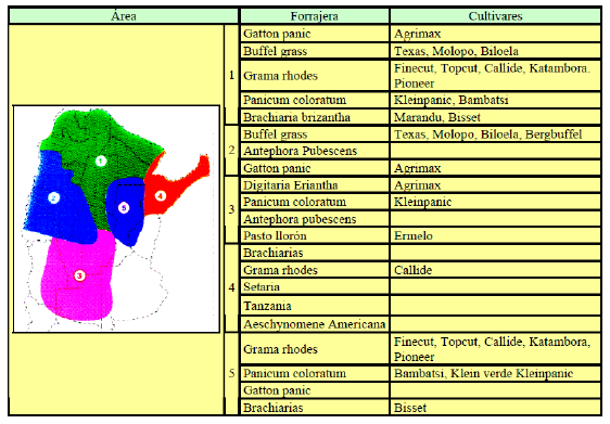 Utilización de la Grama Rhodes para el mejoramiento de bajos en la Pampa Húmeda - Image 3