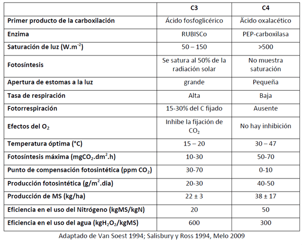 Utilización de la Grama Rhodes para el mejoramiento de bajos en la Pampa Húmeda - Image 6