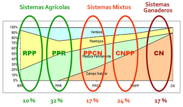 Utilización de la Grama Rhodes para el mejoramiento de bajos en la Pampa Húmeda - Image 1