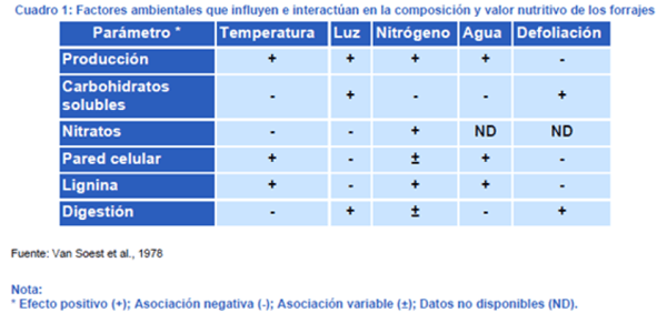 Utilización de la Grama Rhodes para el mejoramiento de bajos en la Pampa Húmeda - Image 8