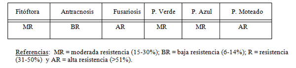 Variedad de alfalfa con menor potencial meteorizante: PROINTA CARMINA - Image 1