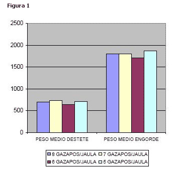 Respuesta del crecimiento en conejos según densidad animal - Image 1