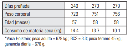 Alimentación de la vaca seca - Image 4