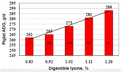 Nutrición de Cerdas lactantes Hiperprolíficas - Image 4