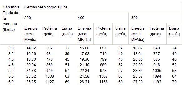 Nutrición de Cerdas lactantes Hiperprolíficas - Image 1