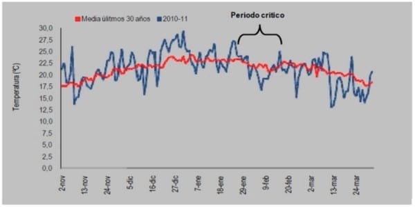 Evaluación de la inoculación con bacterias fijadoras de nitrógeno atmosférico y promotoras del crecimiento en soja - Image 3