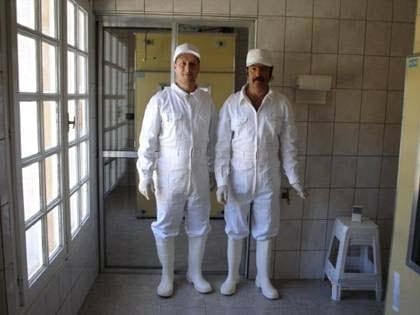 Evaluación de distintas dosis orales del desinfectante timsentm para prevenir la infección horizontal por Salmonella gallinarum en pollitos - Image 3