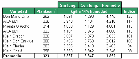 Evaluación de Cultivares de Trigo en Barrancas, Santa Fé, Campaña 2004/05 - Image 3