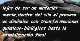 Claves para la correcta utilización del silo - Image 1