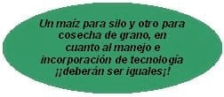 Claves para la correcta utilización del silo - Image 2