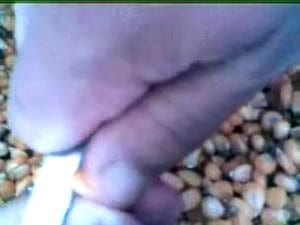 Procesamiento y Acondicionamiento de Cereales para aumentar Digestibilidad de Proteínas y lograr un mejor aprovechamiento de los Carbohidratos. - Image 1